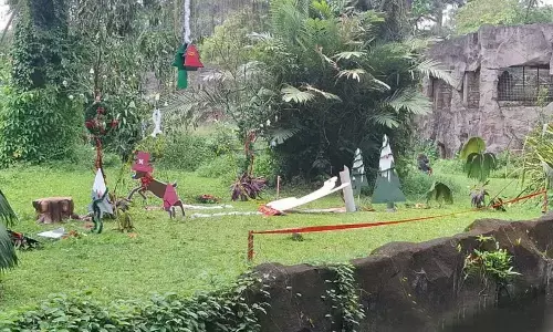 Gorila Kumbo hibur pengunjung Ragunan