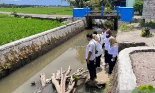 Ikan tebaran di aliran sungai Pariaman hilang terseret banjir
