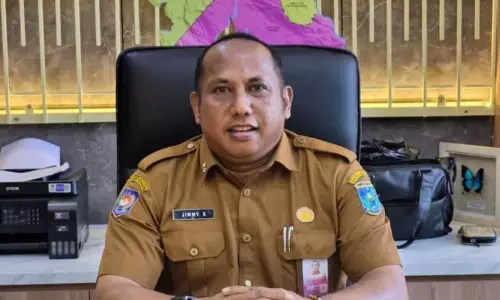 Dinas Kehutanan Papua Barat salurkan 47.485 bibit tanaman serbaguna