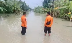 Banjir rendam sejumlah wilayah di Kabupaten Grobogan