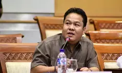 IMI: Rehabilitasi pascabencana di Sumatera harus dimulai dari hulu