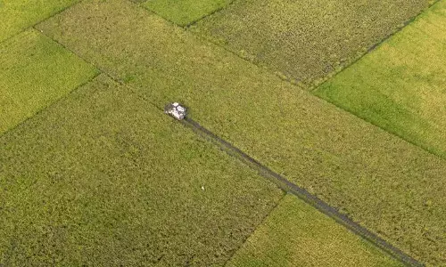 Menjaga keberlanjutan swasembada beras 2025