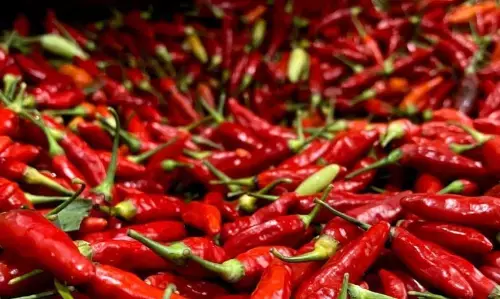 PIHPS: Harga cabai rawit merah Rp45.000/kg, telur ayam Rp29.000/kg