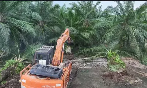 BBKSDA Sumut - Pemerintah Jerman kolaborasi pulihkan kawasan Konservasi SM KGLTL