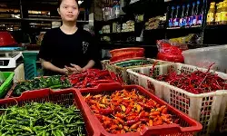PIHPS: Harga cabai rawit merah Rp69.750/kg, telur ayam Rp33.000/kg