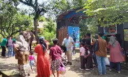 Semarang Zoo sambut Tahun Baru dengan berbagai even