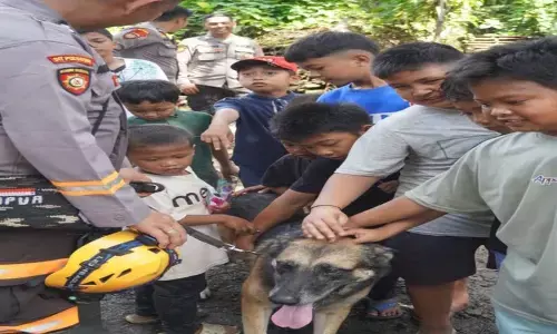 Polda Sumut hadirkan K-9 edukasi anak di pengungsian Tapanuli Selatan Polda Sumut hadirkan K-9 edukasi anak di pengungsian Tapanuli Selatan