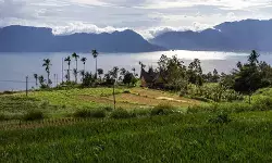 BMKG ungkap potensi tsunami Danau Maninjau akibat Segmen Kajai-Talamau