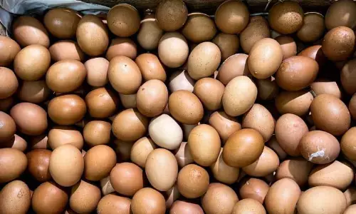 PIHPS: Harga cabai rawit merah Rp65.300/kg, telur ayam Rp32.950/kg