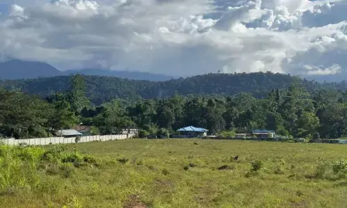 Kemensos setujui pembangunan Sekolah Rakyat di Manokwari Kemensos setujui pembangunan Sekolah Rakyat di Manokwari