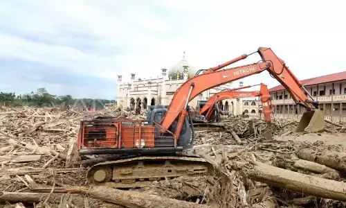 Kemenhut: Kayu banjir bisa dimanfaatkan Pemda sesuai peruntukan