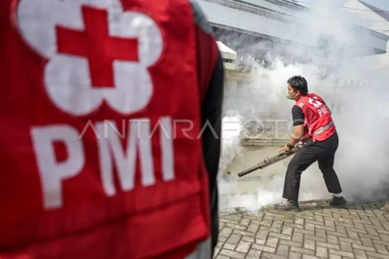 Musim hujan, Dinkes Tangerang ingatkan risiko penyakit Musim hujan, Dinkes Tangerang ingatkan risiko penyakit