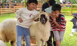 Wisata edukasi Ijen Farmhouse Banyuwangi jadi destinasi favorit baru