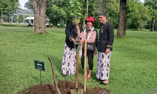 Pengunjung pertama Borobudur tahun 2026 dapat suvenir dan tanam pohon
