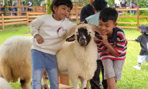 Wisata edukasi Ijen Farmhouse Banyuwangi jadi destinasi favorit baru Wisata edukasi Ijen Farmhouse Banyuwangi jadi destinasi favorit baru