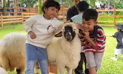 Wisata edukasi Ijen Farmhouse Banyuwangi jadi destinasi favorit baru Wisata edukasi Ijen Farmhouse Banyuwangi jadi destinasi favorit baru