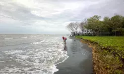 Pantai yang asri: Kesadaran Bekasi menjaga alamnya tanpa orang sadari