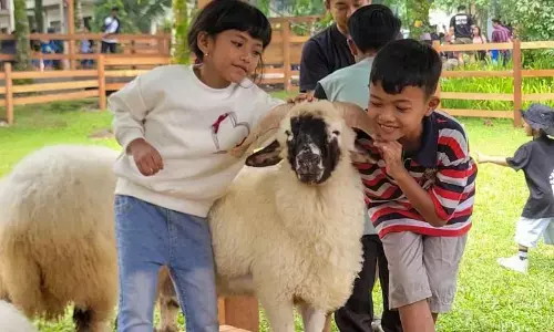 Wisata edukasi Ijen Farmhouse Banyuwangi jadi destinasi favorit baru