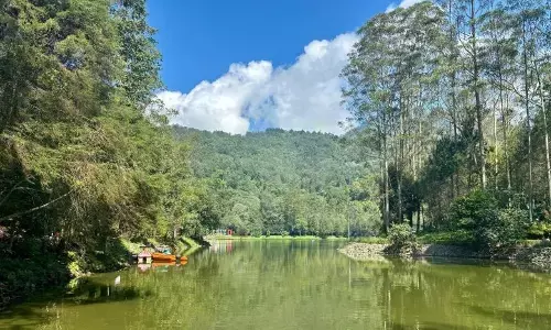 Kemenhut jelaskan status Gunung Wayang Jabar masih hutan lindung