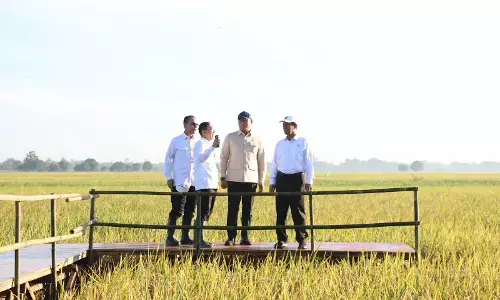 Bulog catat pengadaan beras tertinggi sepanjang sejarah, tembus 3,1 juta ton