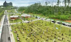 Otorita ajak masyarakat tanam pohon di kawasan IKN