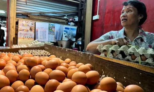 PIHPS: Harga cabai rawit merah Rp67.300/kg, telur ayam Rp32.750/kg PIHPS: Harga cabai rawit merah Rp67.300/kg, telur ayam Rp32.750/kg