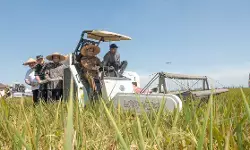 Produktivitas pangan Jawa Tengah 2025 capai target nasional