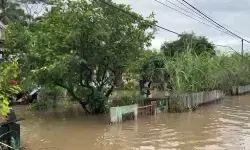 Pemkot Bengkulu catat 696 kepala keluarga terdampak banjir