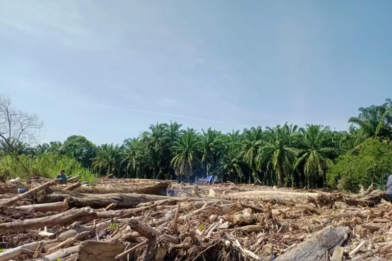 Kemenhut libatkan pakar hidrometeorologi dan kayu selidiki DAS Sumut Kemenhut libatkan pakar hidrometeorologi dan kayu selidiki DAS Sumut