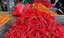 PIHPS: Harga cabai rawit merah Rp50.300/kg, telur ayam Rp32.350/kg