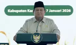 Prabowo umumkan swasembada, RI tak lagi bergantung pangan impor