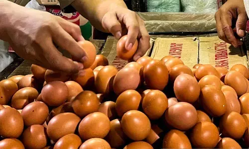 PIHPS: Harga cabai rawit merah Rp67.500/kg, telur ayam Rp33.900/kg