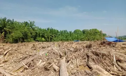 Kemenhut intensifkan pembersihan kayu dampak banjir di Aceh–Sumut Kemenhut intensifkan pembersihan kayu dampak banjir di Aceh–Sumut