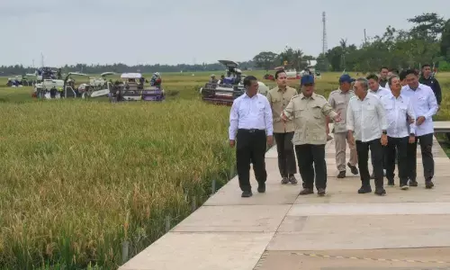 Prabowo bertekad Indonesia swasembada pangan tiap tahun