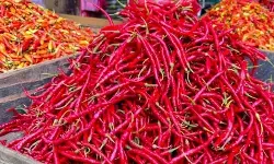 PIHPS: Harga cabai rawit merah Rp53.900/kg, telur ayam Rp32.750/kg PIHPS: Harga cabai rawit merah Rp53.900/kg, telur ayam Rp32.750/kg