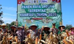 Kolaborasi Polres Pemalang dan petani hasilkan panen jagung melimpah