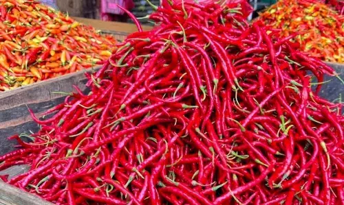 PIHPS: Harga cabai rawit merah Rp53.900/kg, telur ayam Rp32.750/kg
