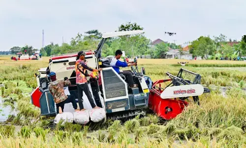 Prabowo umumkan swasembada pangan, produksi naik dan impor turun signifikan Prabowo umumkan swasembada pangan, produksi naik dan impor turun signifikan