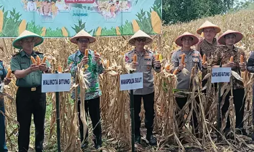 Wakapolda Sulut pimpin panen raya jagung kuartal IV tahun 2025 di Manembo-nembo Bitung Wakapolda Sulut pimpin panen raya jagung kuartal IV tahun 2025 di Manembo-nembo Bitung
