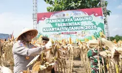 Perkuat ketahanan pangan, Polda Jateng dan petani panen raya jagung