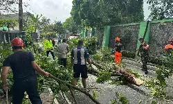 Angin puting beliung kembali terjang Salatiga, 10 rumah warga rusak