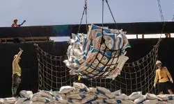 PI Sumbar berhasil salurkan 212 ribu ton pupuk subsidi pada 2025