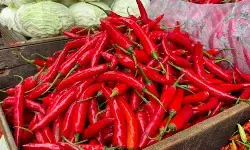 PIHPS: Harga cabai rawit merah Rp58.250/kg, telur ayam Rp32.450/kg