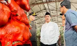Mentan Amran sita 133,5 ton bawang bombay ilegal di Semarang