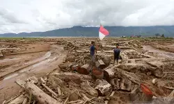 Tumbangnya pohon saat banjir dan alarm kerusakan tanah di hulu