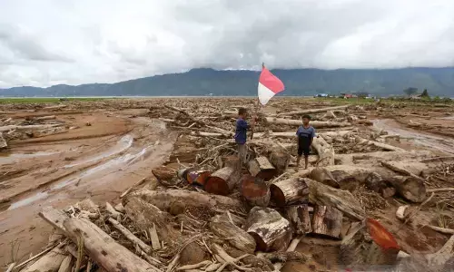 Tumbangnya pohon saat banjir dan alarm kerusakan tanah di hulu