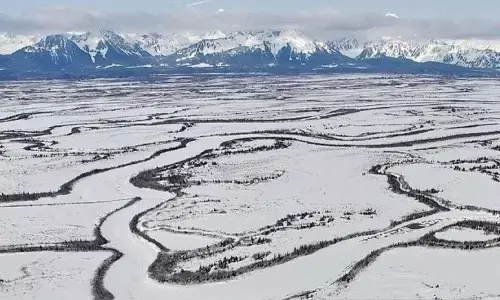Trump disebut perintahkan militer rencanakan invasi ke Greenland Trump disebut perintahkan militer rencanakan invasi ke Greenland