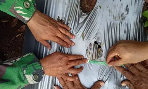 BKSDA: Jejak satwa liar di Lampung Timur dipastikan bukan harimau