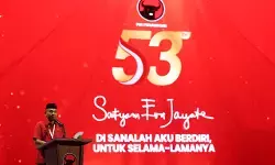 PDIP kawal pemerintahan lewat jalur Checks and Balances