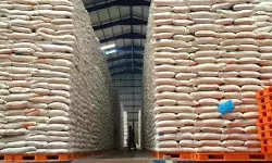 Bapanas jamin ketersediaan beras dan harga stabil di awal 2026 Bapanas jamin ketersediaan beras dan harga stabil di awal 2026